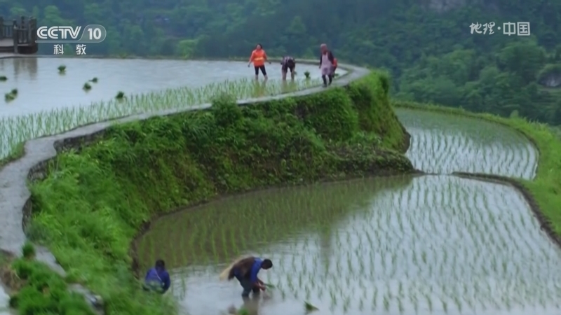 [地理·中国]正是因为崇义人的勤劳和探索 曾经的险峻山岭变成如今的宜居之地