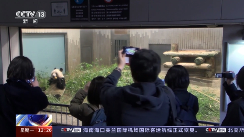 [新闻30分]日本 大熊猫“香香”即将回国 最后一天在日见游客 民众依依惜别送祝福
