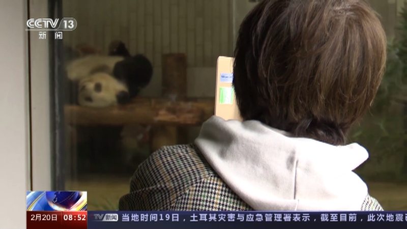 [朝闻天下]日本 大熊猫“香香”即将回国 最后一天在日见游客 民众依依惜别送祝福