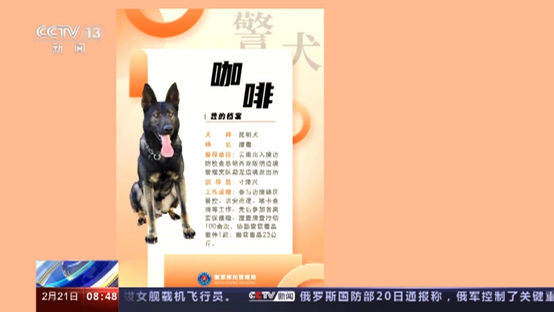 [朝闻天下]战功赫赫 15只警犬获评首批“功勋犬” 警犬“咖啡”：让毒品无处藏身