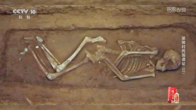 [探索·发现]考古队员在梁带村两周墓地中清理出土了33例珍贵的人骨标本