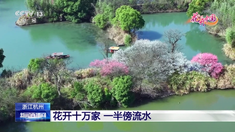 [新闻直播间]浙江杭州 花开十万家 一半傍流水