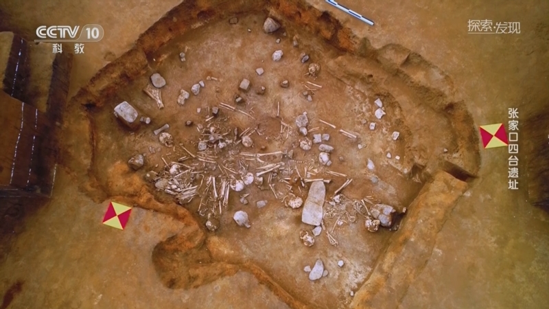 [探索·发现]考古人员在四台2号房址发现13个头骨