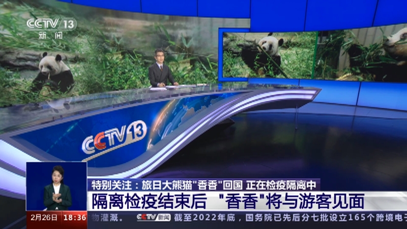 [共同关注]特别关注：旅日大熊猫“香香”回国 正在检疫隔离中 隔离检疫结束后 “香香”将与游客见面