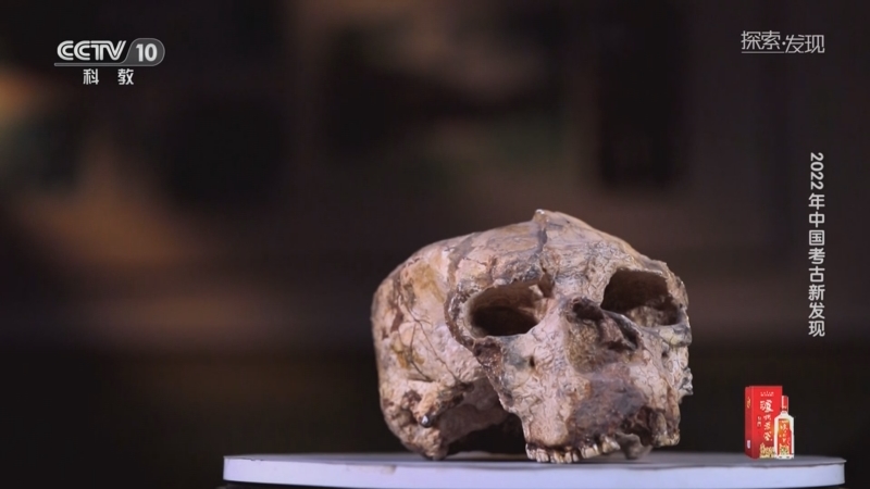 [探索·发现]学堂梁子遗址出土的古人类头骨化石距今110万年至80万年