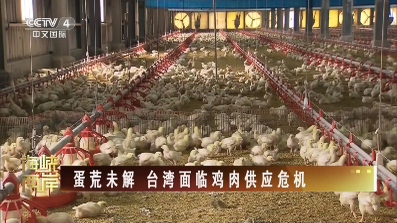 [海峡两岸]蛋荒未解 台湾面临鸡肉供应危机
