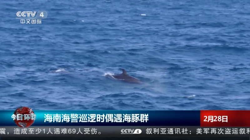 [今日环球]海南海警巡逻时偶遇海豚群