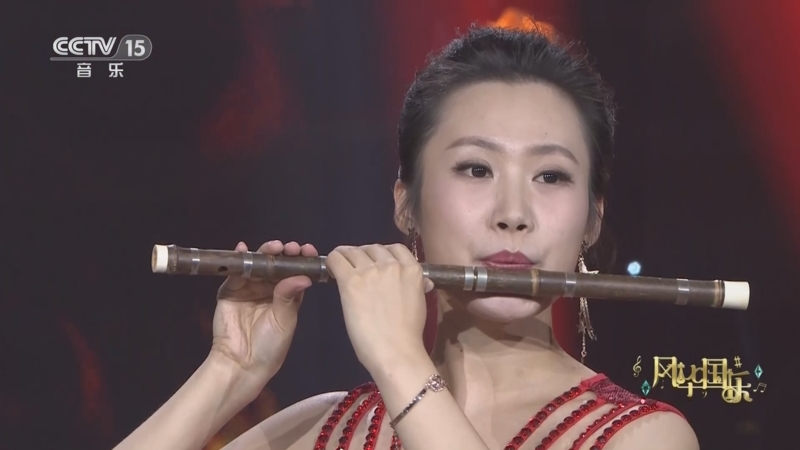 [风华国乐]《燃烧》 演奏:王溪 张梦婕