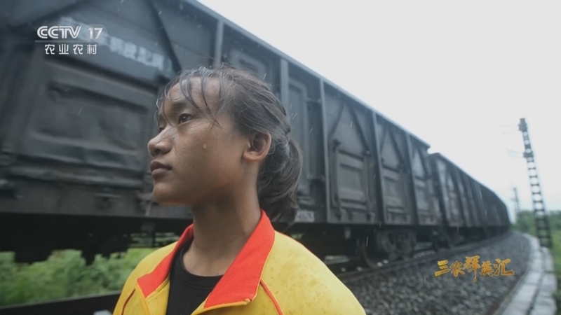 《三农群英汇》 20230807 拳击少女的心事 下