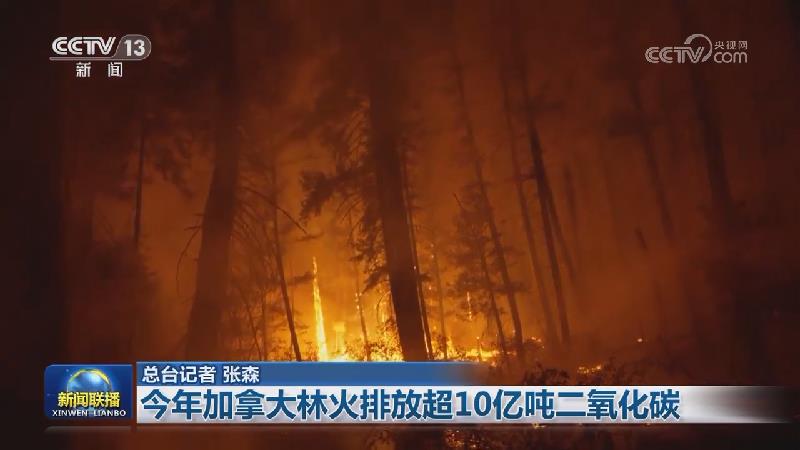 今年加拿大林火排放超10亿吨二氧化碳