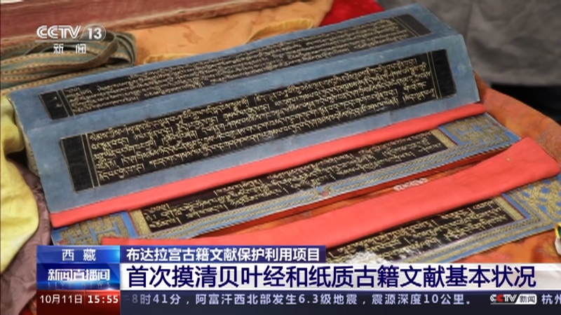 [新闻直播间]西藏 布达拉宫古籍文献保护利用项目 首次摸清贝叶经和