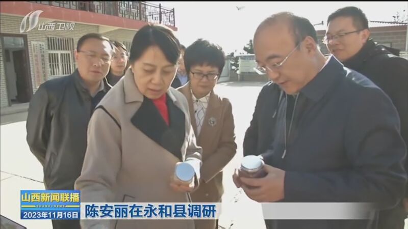 [山西新闻联播]陈安丽在永和县调研