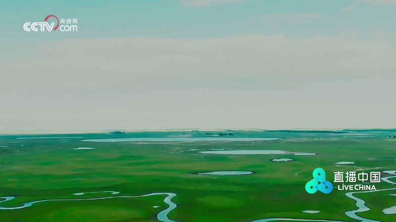 七仙湖:水美草丰 食物资源丰富