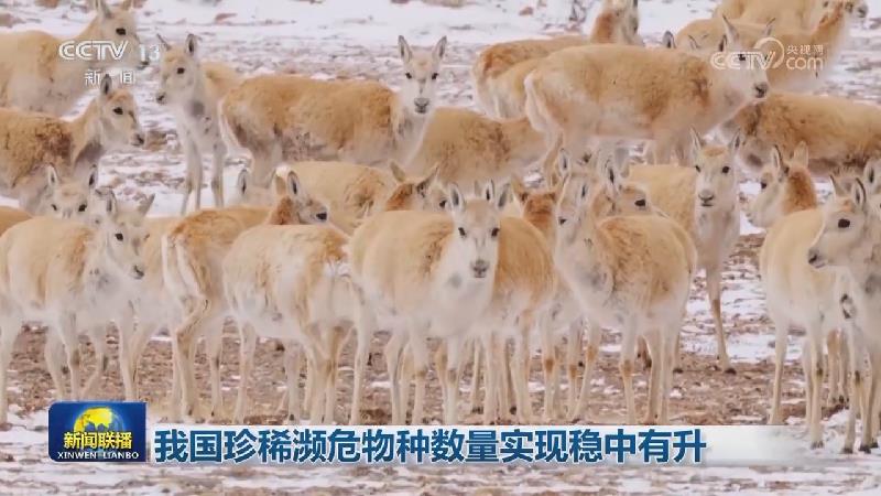 我国珍稀濒危物种数量实现稳中有升