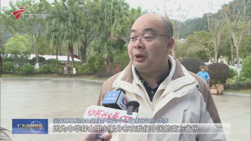 [广东新闻联播]广东启动建设中华穿山甲智慧保护体系