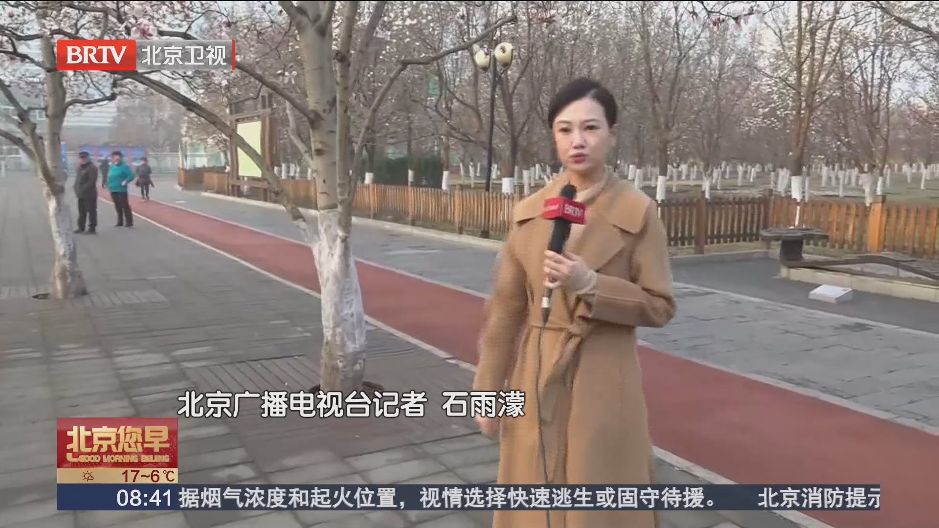 [北京您早]北京国际雕塑园玉兰盛放 带您感受最美春日