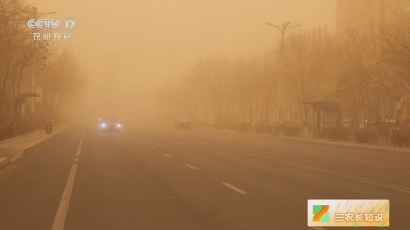 发布沙尘暴黄色预警 北方多地有扬沙或浮尘天气
