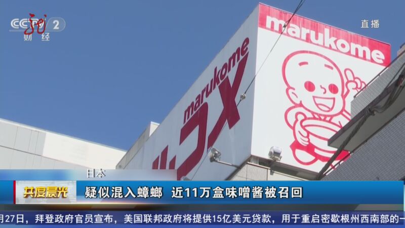 [共度晨光]日本 疑似混入蟑螂 近11万盒味噌酱被召回