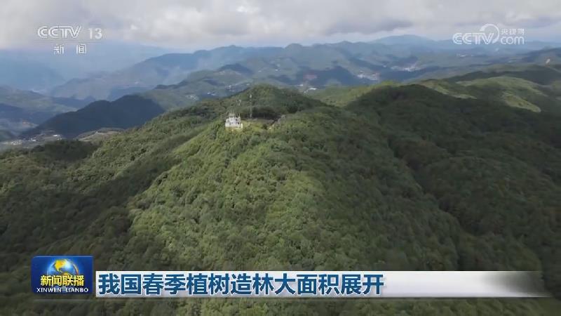 我国春季植树造林大面积展开