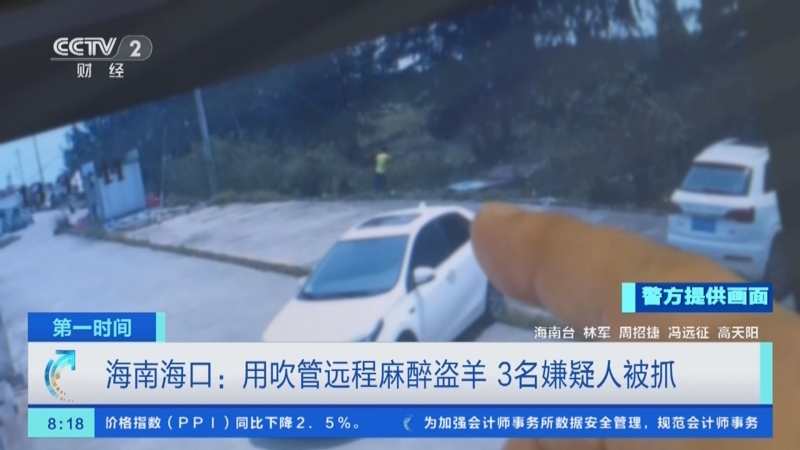 [第一时间]海南海口:用吹管远程麻醉盗羊 3名嫌疑人被抓