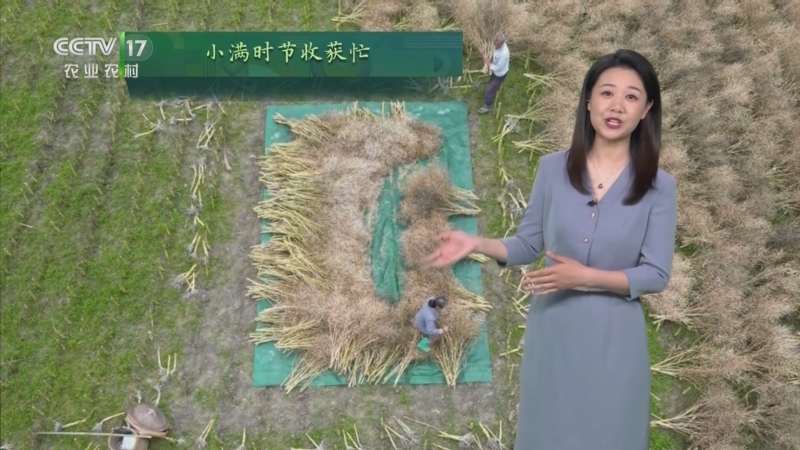 农业气象_cctv节目官网