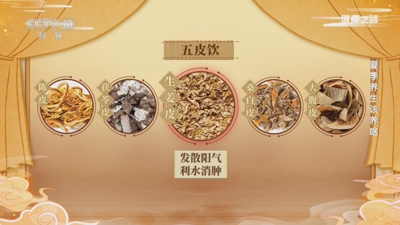 健康之路_cctv节目官网