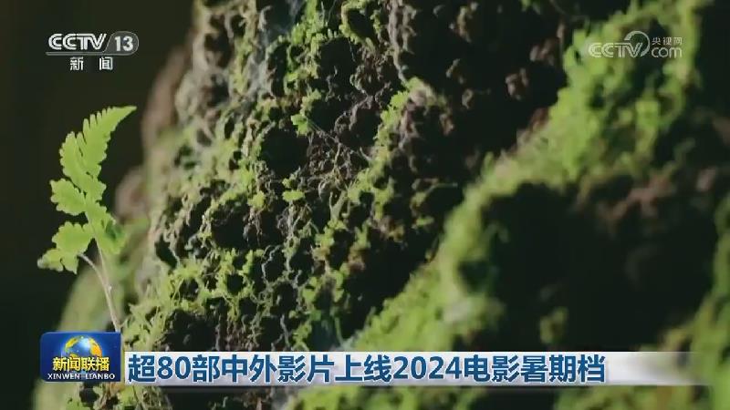 超80部中外影片上线2024电影暑期档