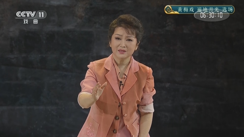 《九州大戏台》 20240711 黄梅戏《遍地月光》选场