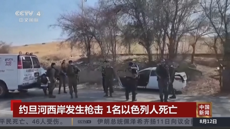 [中国新闻]约旦河西岸发生枪击 1名以色列人死亡