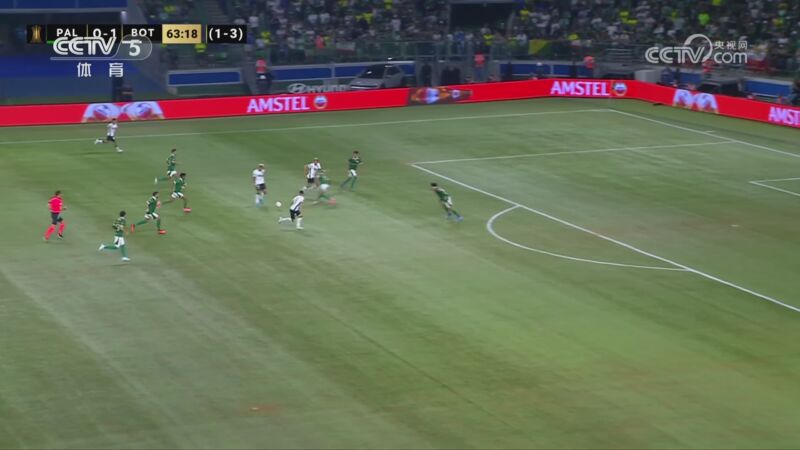 [国际足球]博塔福戈晋级南美解放者杯八强