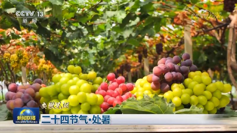 二十四节气·处暑