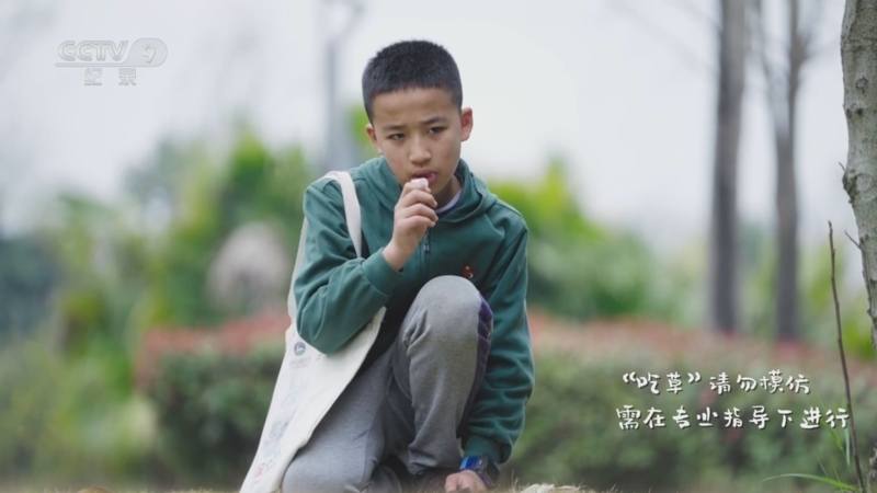 《公园城市和我》 第3集 “吃草”少年的日常