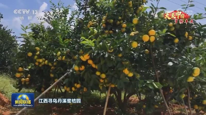 【大美中国·岁物丰成】