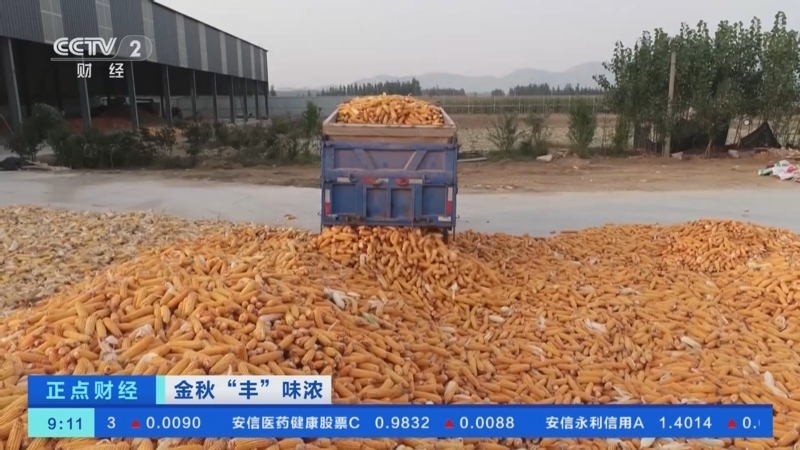 开通新航线，节约企业物流成本