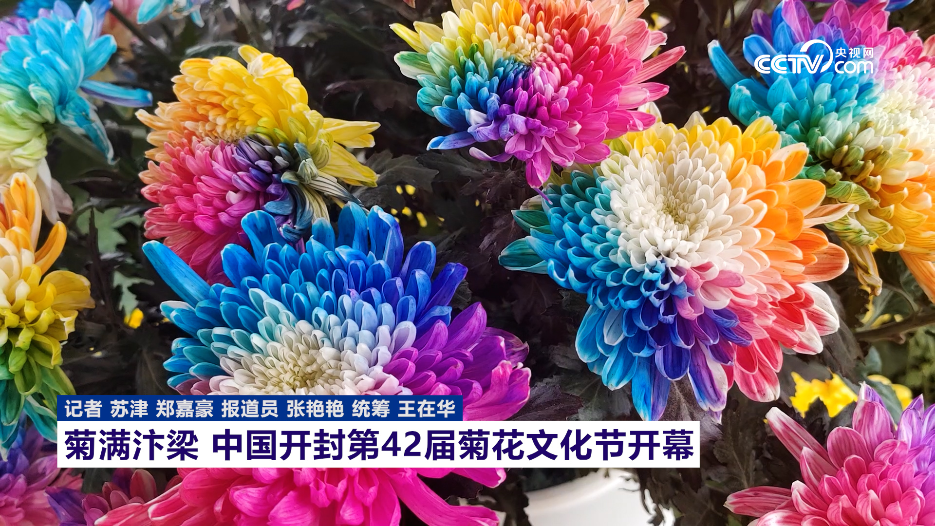 2021开封菊花节图片