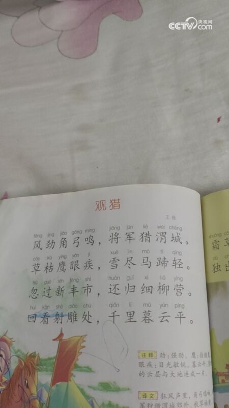 观猎唐王维图片