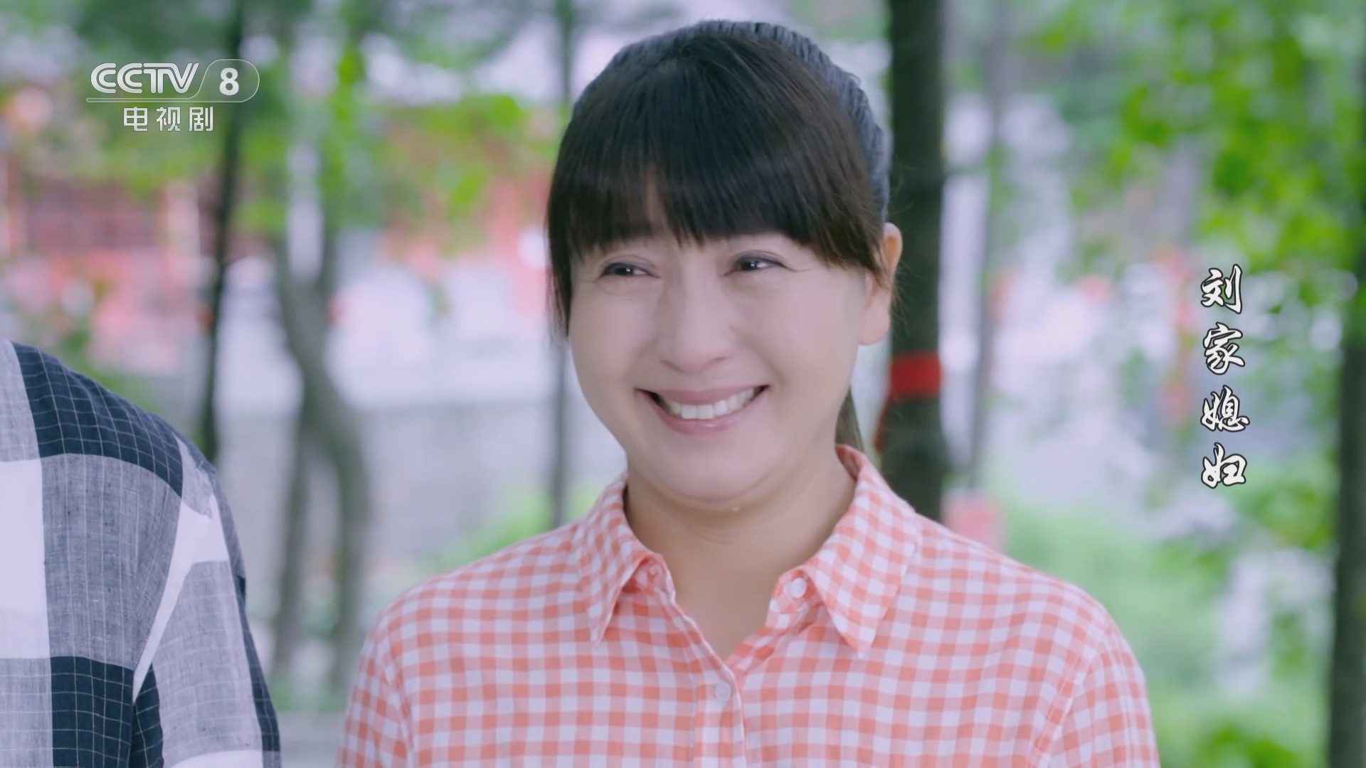 《刘家媳妇》刘万花与贾诸葛向刘土地道歉