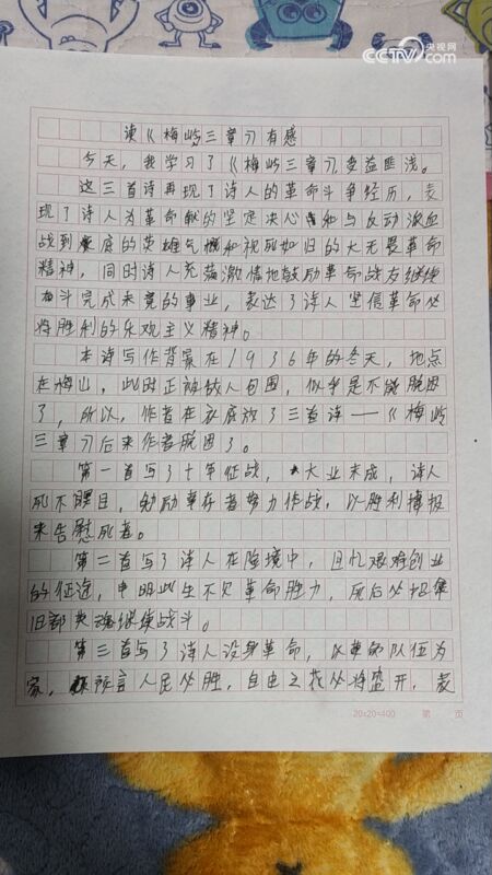 梅岭三章硬笔书法作品图片