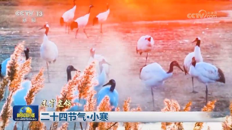 二十四节气·小寒