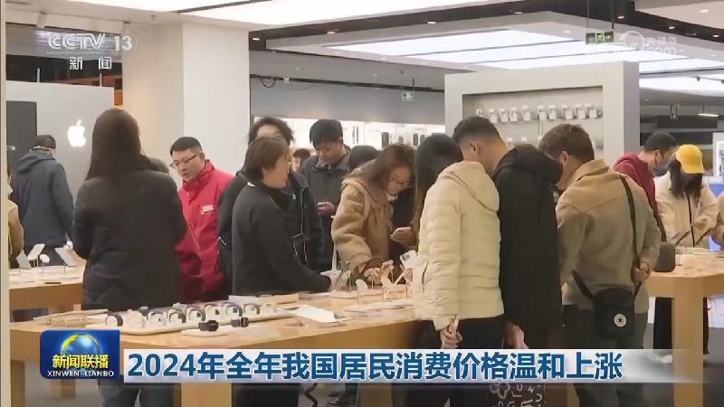 2024年全年我国居民消费价格温和上涨