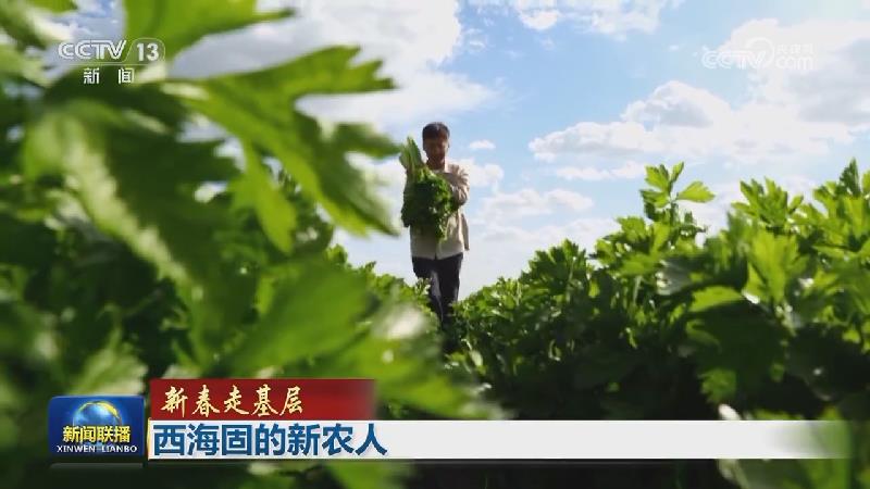 【新春走基层】西海固的新农人