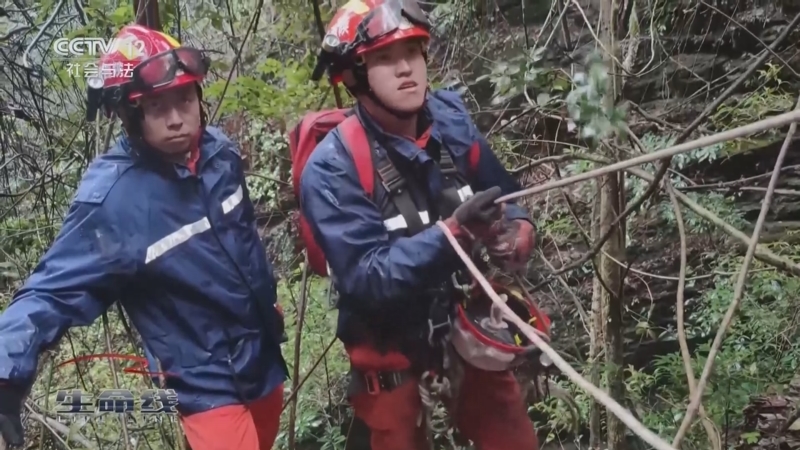 《生命线》 20250221