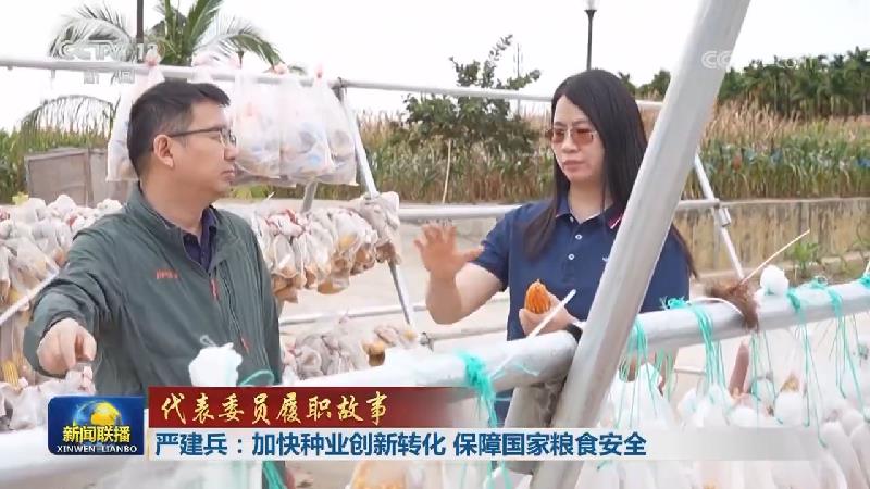 【代表委员履职故事】严建兵：加快种业创新转化 保障国家粮食安全