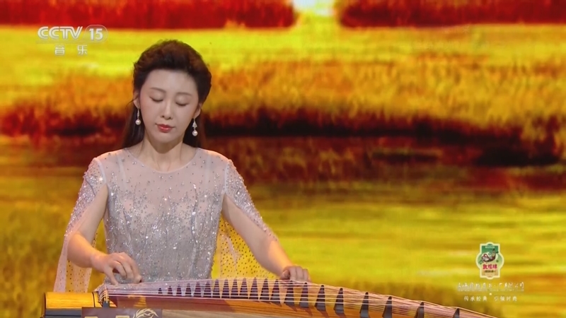 《风华国乐》 20250303