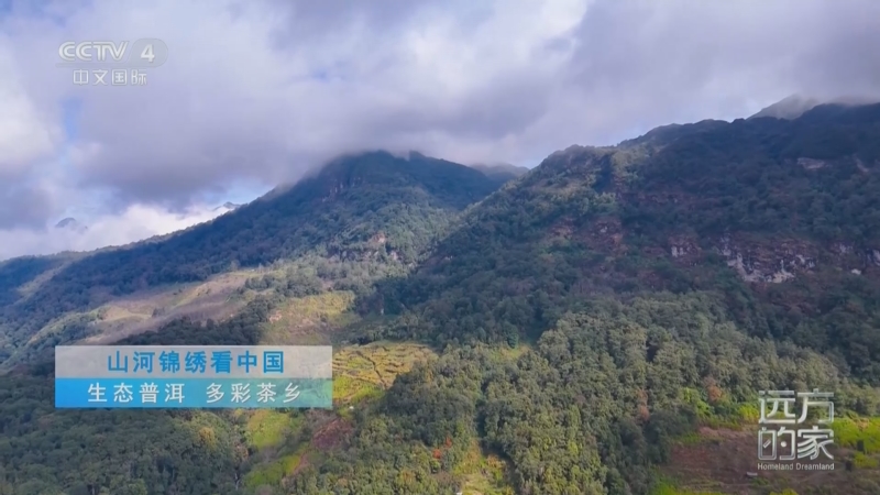 《远方的家》 20250303 山河锦绣看中国 生态普洱 多彩茶乡