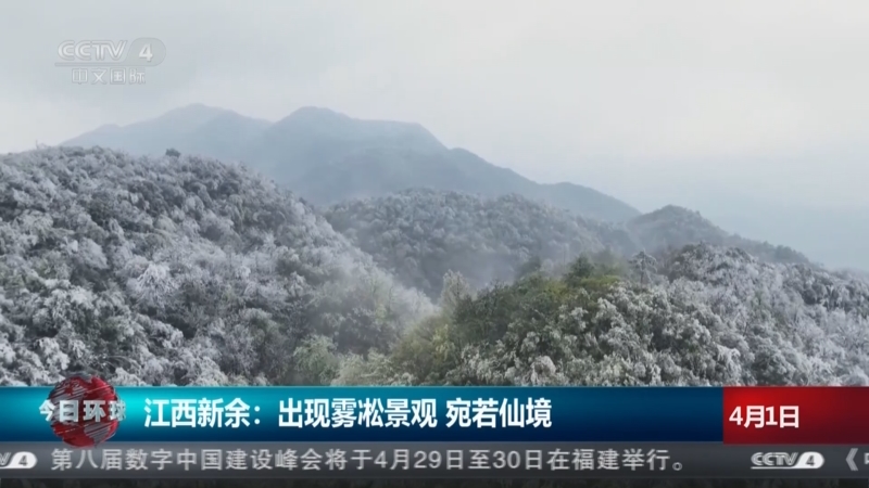 江西新余：出现雾凇景观 宛若仙境