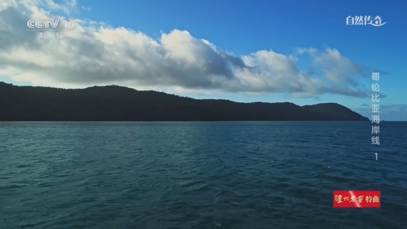 《自然传奇》 20250408 哥伦比亚海岸线 1
