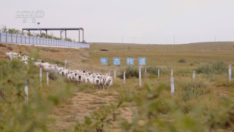 《创新进行时》 20250422 生态“突围战”