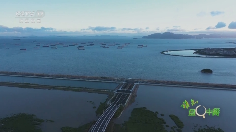《谁知盘中餐》 20250505 大地鲜踪 来自大海的味道