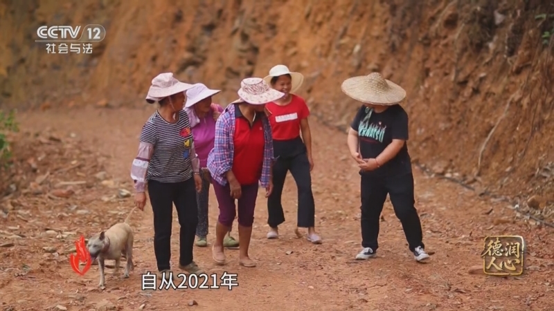 《道德观察(日播版)》 20250608 德润人心